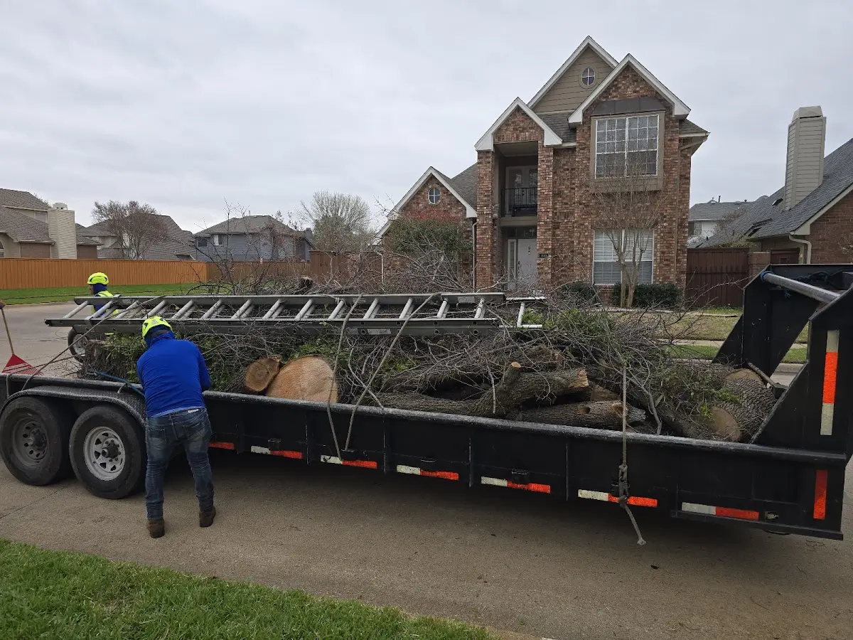 Expert Lot Clearing with proper safety equipment in Pinedale